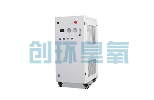 景县比传统换水更高效?臭氧发生器在石斑鱼养殖中的水质净化原理解析